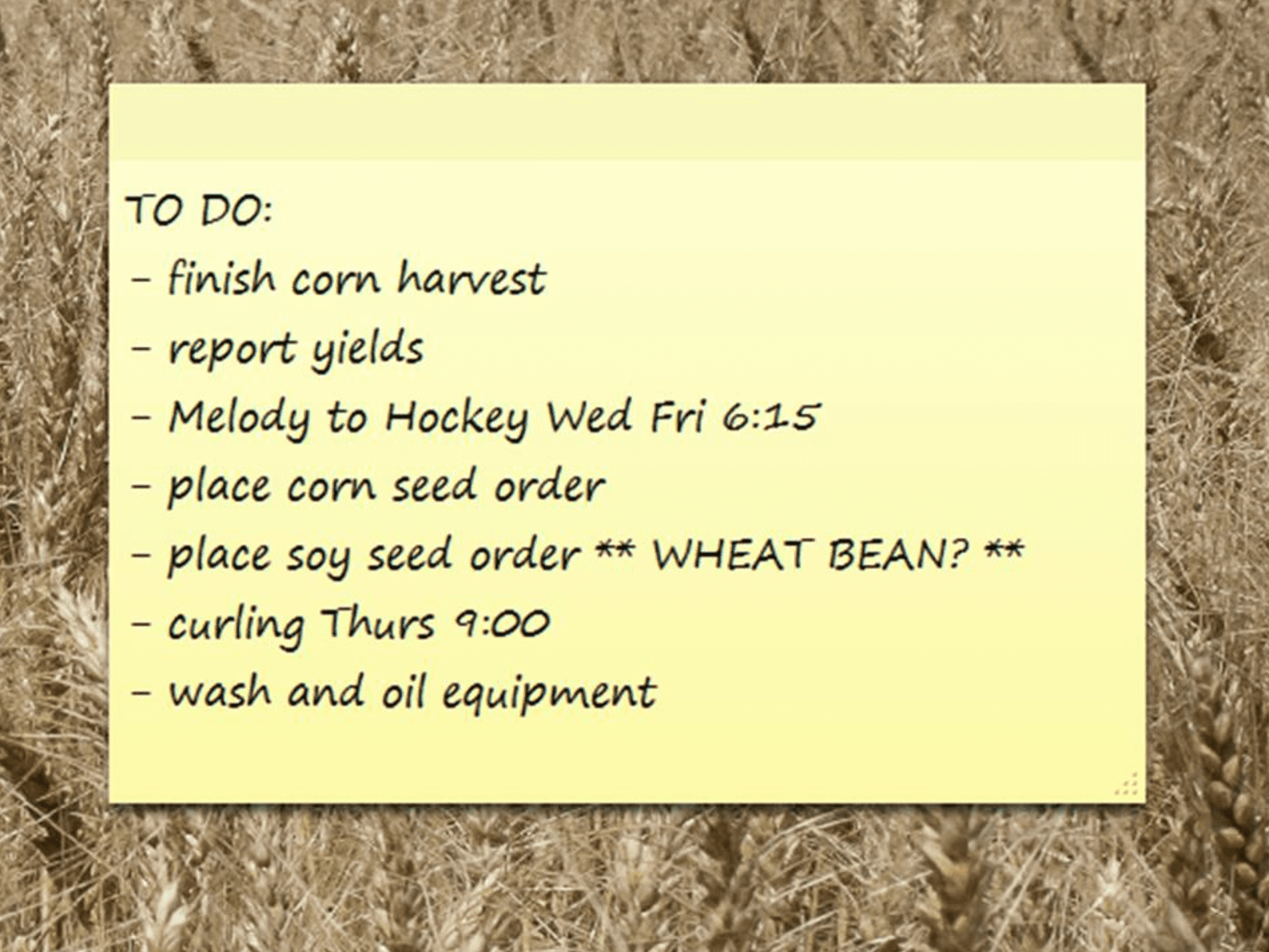 What Is Your Wheat Bean? C&M Seeds