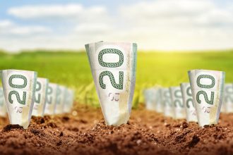 GrowingMoney2